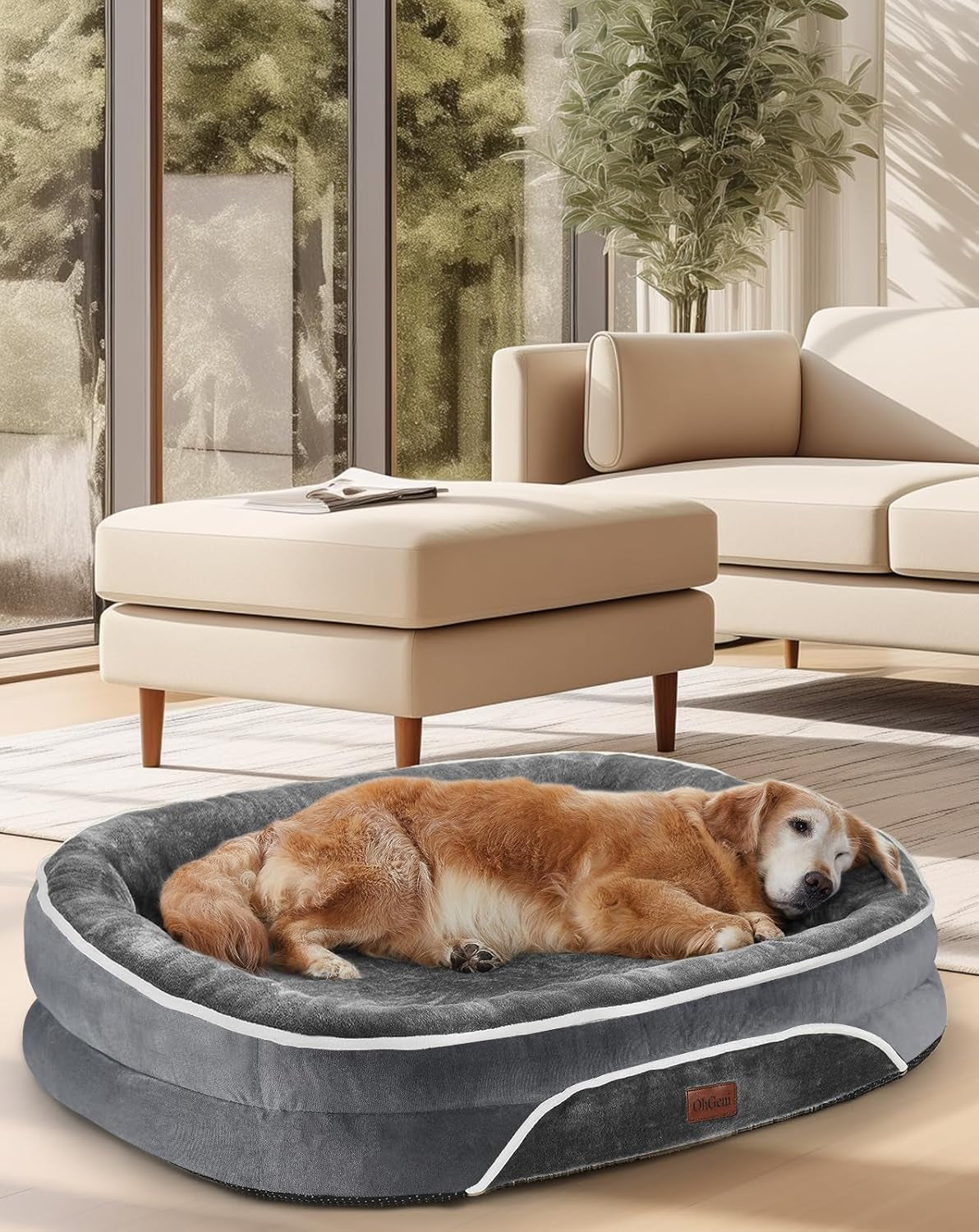 Large Dog Bed