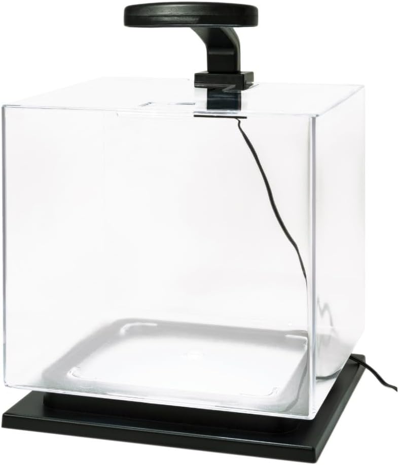 3 Gallon Aquarium Tank