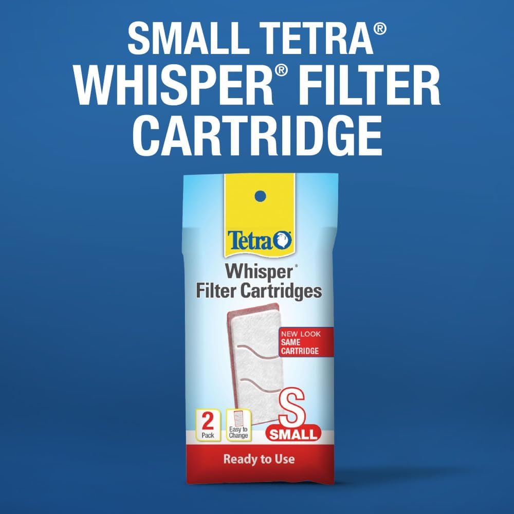 3 Gallon Aquarium Tank