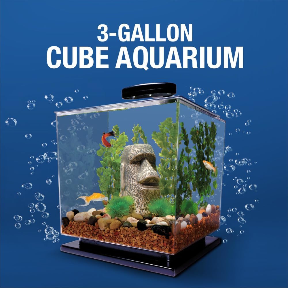 3 Gallon Aquarium Tank