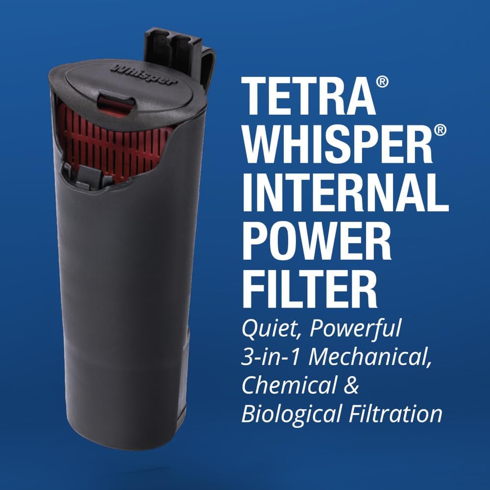 3 Gallon Aquarium Tank