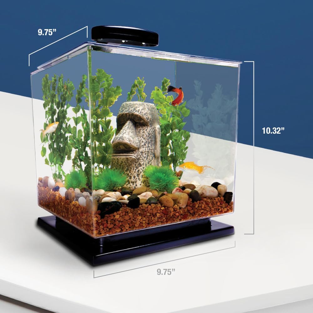 3 Gallon Aquarium Tank