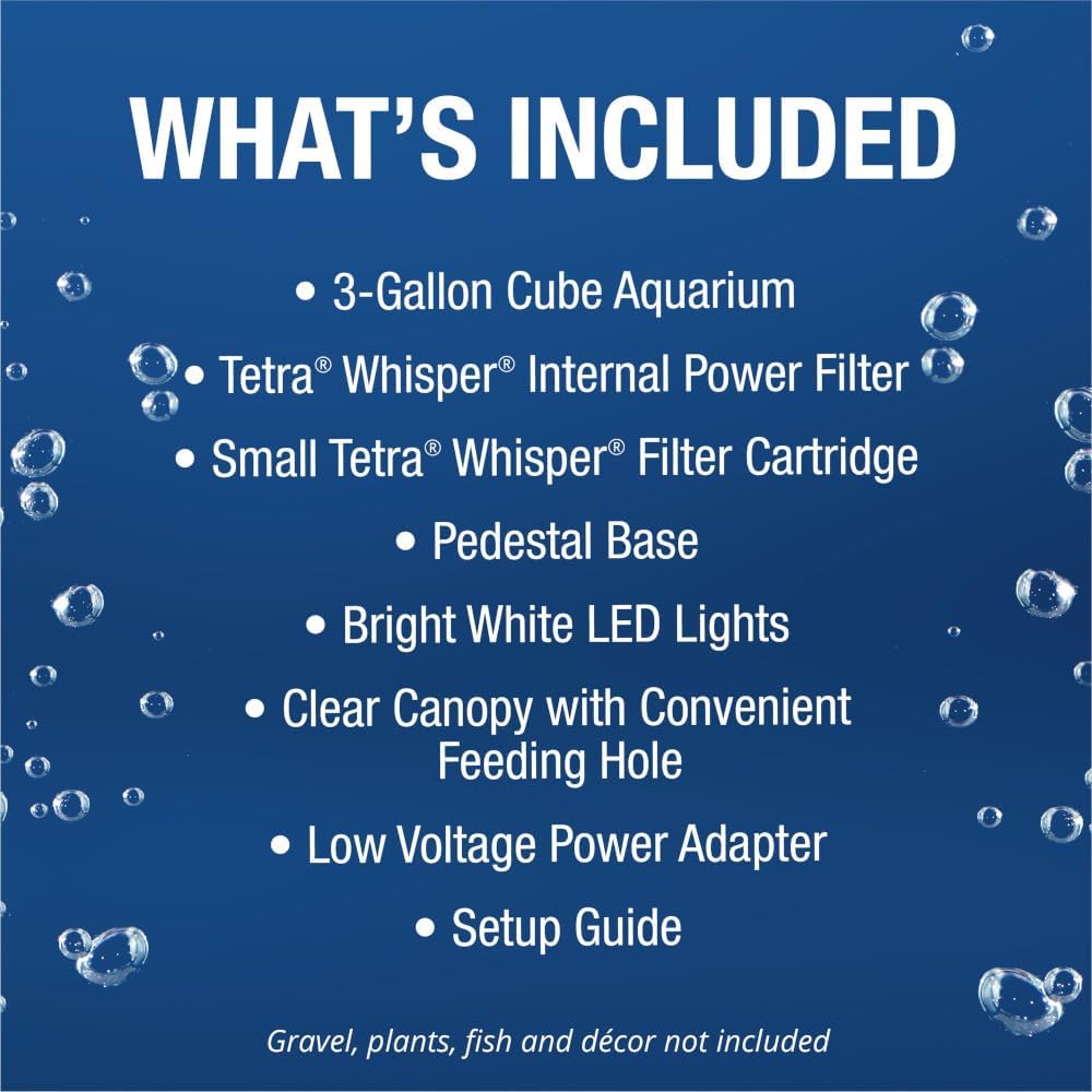 3 Gallon Aquarium Tank