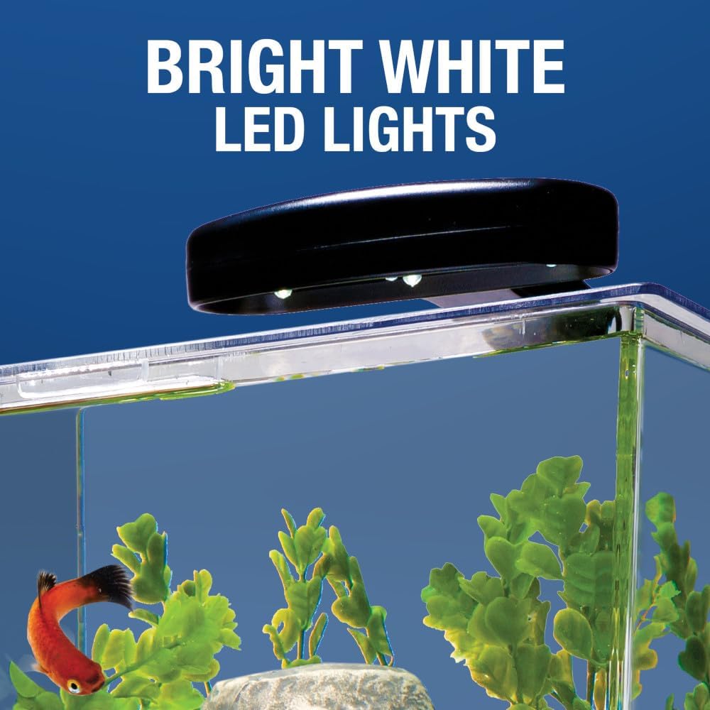 3 Gallon Aquarium Tank